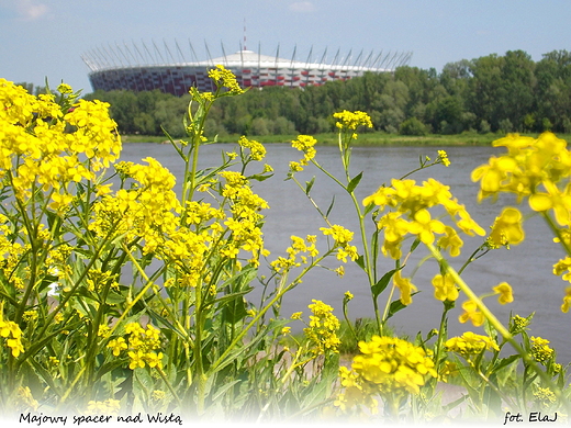 Warszawa. Majowy spacer nad Wis