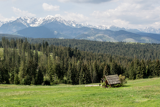 Polana Godwka - widok na Tatry