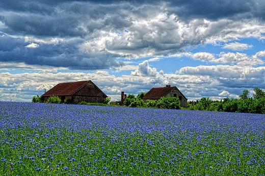 Opuszczone siedlisko