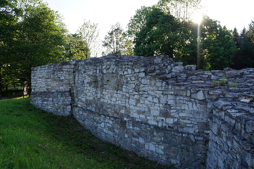 Sawkw - ruiny zamku z XIII w.