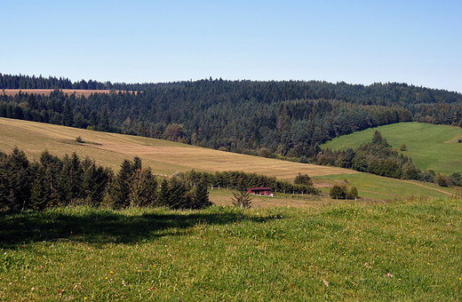 Krajobrazy Beskidu Niskiego w okolicach Czyrnej.