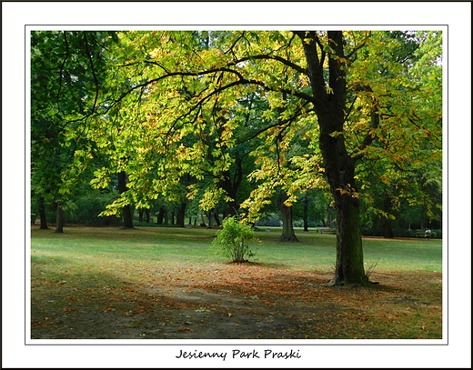 Warszawa. Jesienny Park Praski