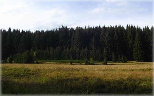 Park Krajobrazowy Sudetw Wabrzyskich