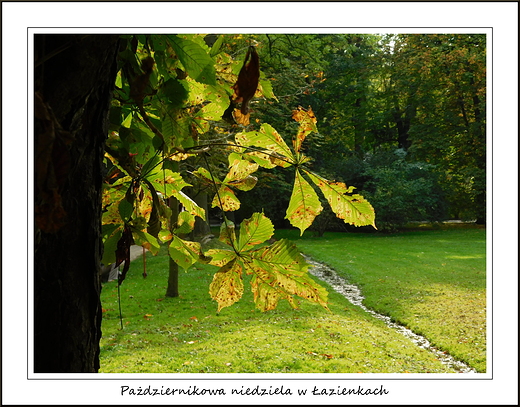 Warszawa. Padziernikowa niedziela w azienkach