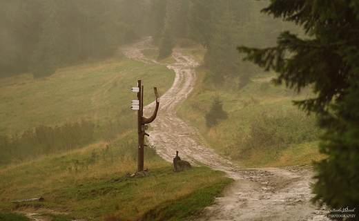 Gorczaskie szlaki.