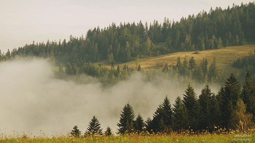 Gorczaskie szlaki.