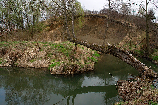 Nad Psark. Szerzawy