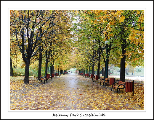 Warszawa. Jesienny Park Szczliwicki