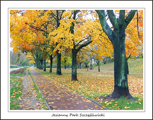 Warszawa. Jesienny Park Szczliwicki