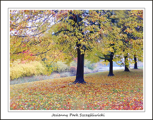 Warszawa. Jesienny Park Szczliwicki