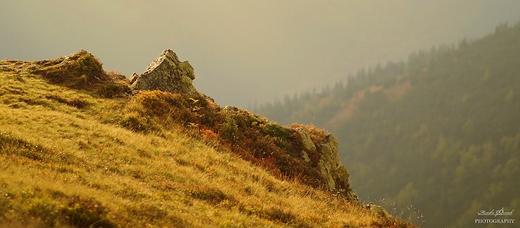 Tatry Zachodnie.