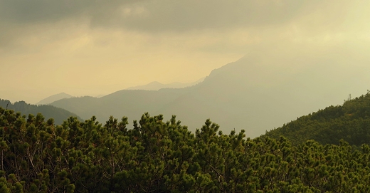 Tatry Zachodnie.