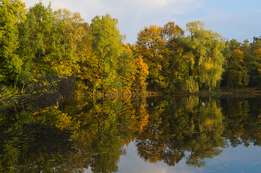 Staw Borusa jesieni - Park Dbina