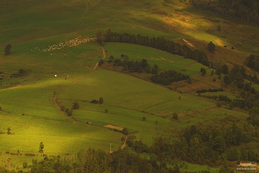 Pieniskie szlaki.