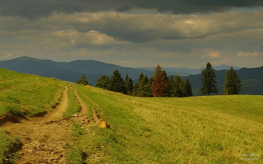 Pieniskie szlaki.