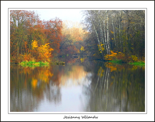 Warszawa. Jesienny Wilanw