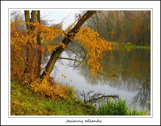 Warszawa. Jesienny Wilanw