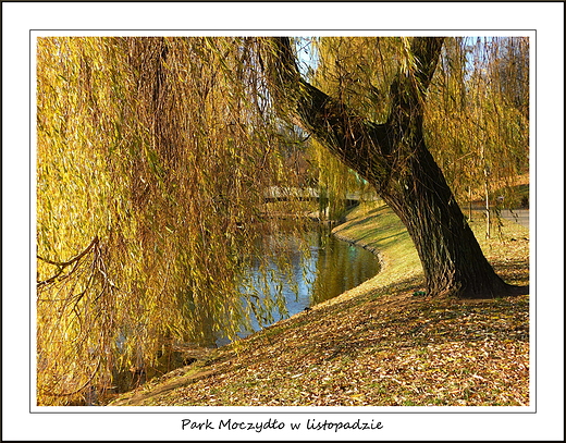 Warszawa. Park Moczydo w listopadzie