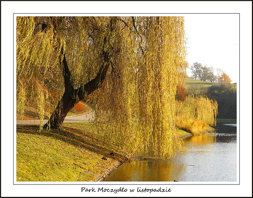 Warszawa. Park Moczydo w listopadzie