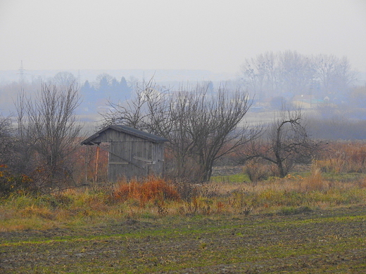 listopadowe klimaty