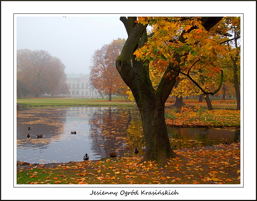 Warszawa. Jesienny Ogrd Krasiskich