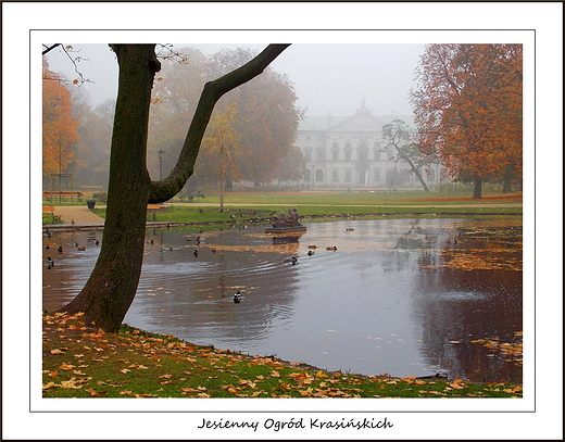 Warszawa. Jesienny Ogrd Krasiskich