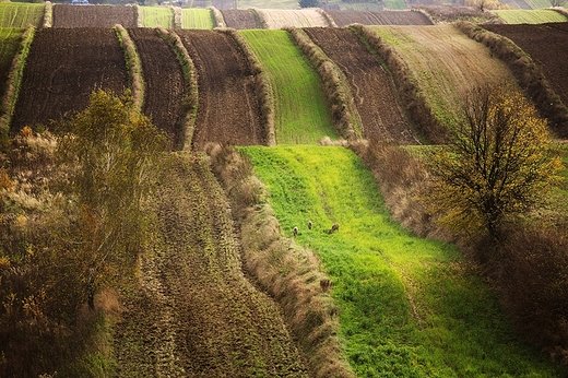 Jesiennie...Roztocze, Antoniwka