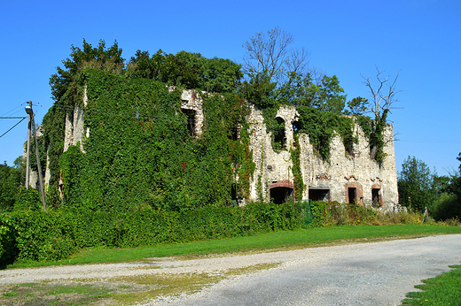 Zakrzw - Ruiny zamku