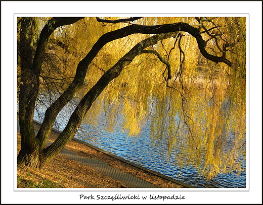 Warszawa. Park Szczliwicki w listopadzie