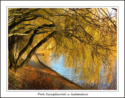 Warszawa. Park Szczliwicki w listopadzie