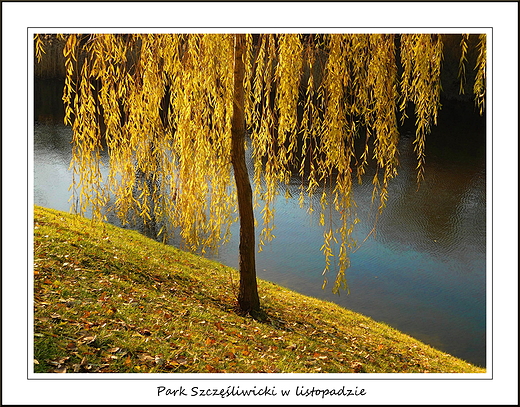 Warszawa. Park Szczliwicki w listopadzie