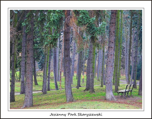 Warszawa. Jesienny Park Skaryszewski