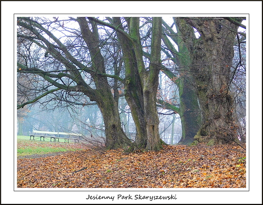 Warszawa. Jesienny Park Skaryszewski