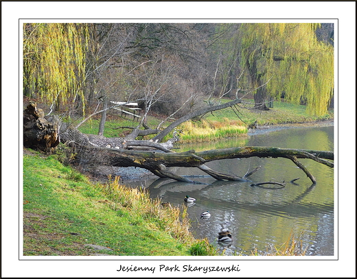 Warszawa. Jesienny Park Skaryszewski