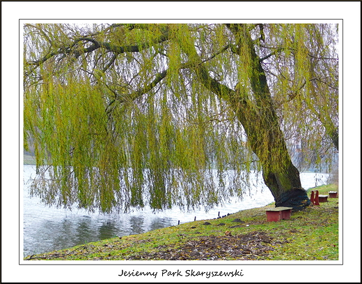 Warszawa. Jesienny Park Skaryszewski