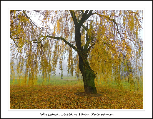 Warszawa. Jesie w Parku Zachodnim