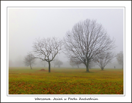 Warszawa. Jesie w Parku Zachodnim