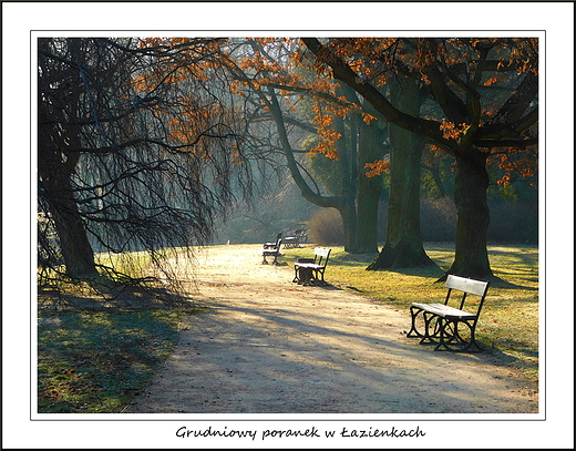 Warszawa. Grudniowy poranek w azienkach