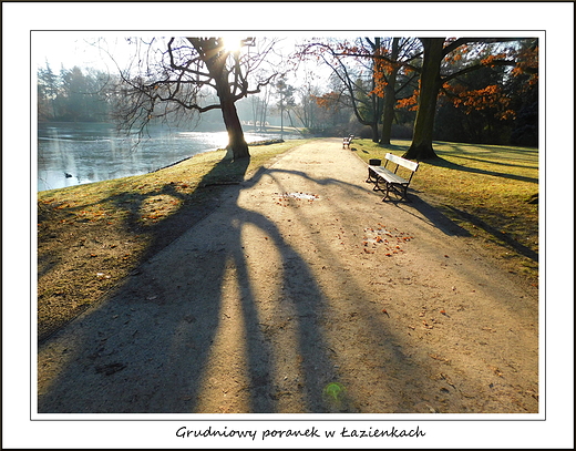 Warszawa. Grudniowy poranek w azienkach