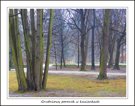 Warszawa. Grudniowy poranek w azienkach