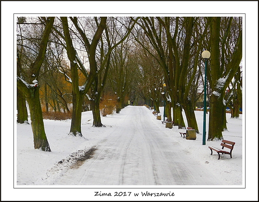 Zima 2017 w Warszawie. Park Szczliwicki