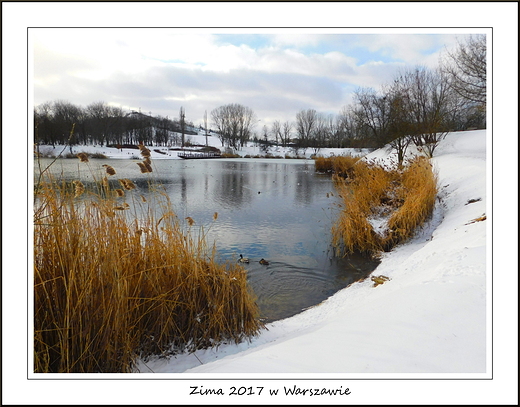 Zima 2017 w Warszawie. Park Szczliwicki