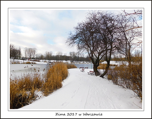 Zima 2017 w Warszawie. Park Szczliwicki