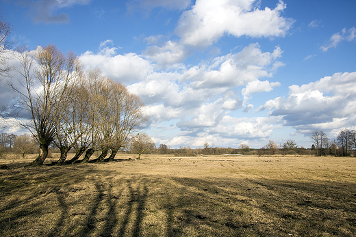 hrubieszowskie klimaty