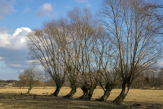 lubelskie klimaty