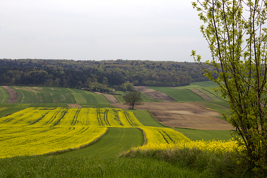 hrubieszowskie klimaty