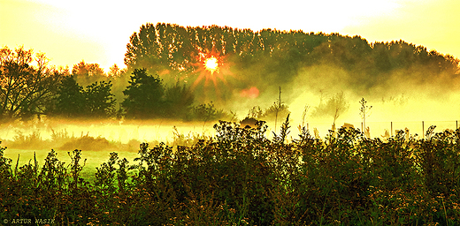 hrubieszowskie klimaty