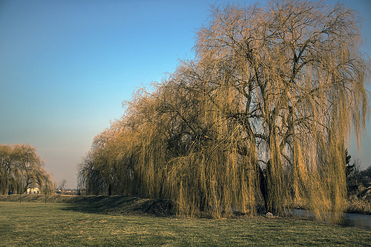 nad Huczw