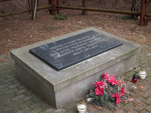 Cmentarz onierzy I Wojny wiatowej w Gocieradowie
