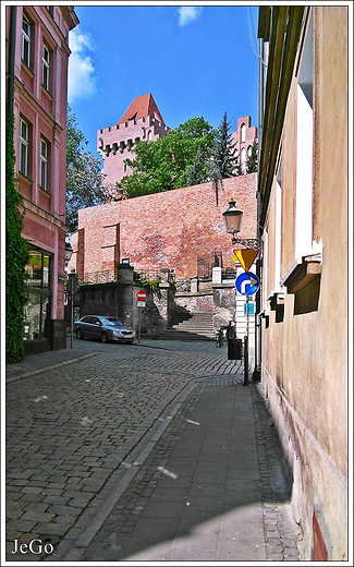 Zamek Przemysa